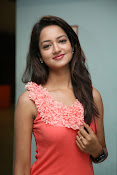 Cute Shanvi Glamorous Photos Gallery-thumbnail-16