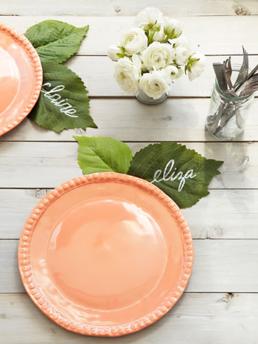 Pretty as Peach Place Settings