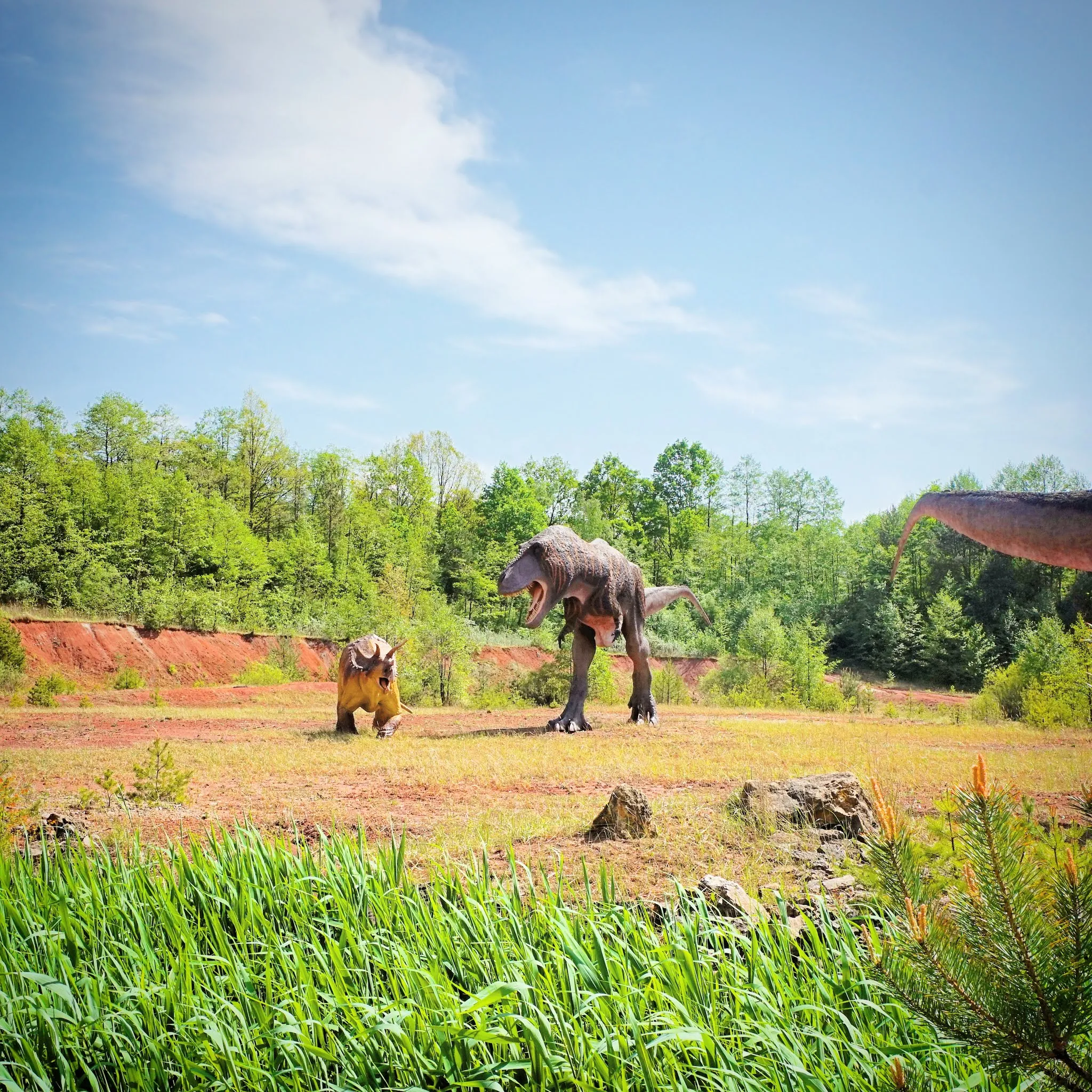 Jurapark Krasiejów - naturalnych rozmiarów modele dinozaurów, nowoczesne wystawy dotyczące ewolucji, podróż kolejką po „tunelu czasu” i kino 5D.