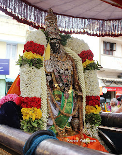 Sri Parthasarathy Perumal, Venkata KRishnan,Kodai Utsavam,Purappadu, 2018, Video,Divya Prabhandam,Triplicane,Thiruvallikeni,Utsavam,