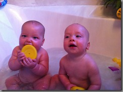 IMG_0458 IMG_0458