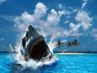angry shark in action wallpaper for PC