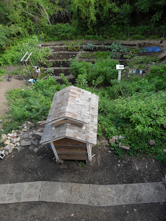 Chicken coop and garden at Arlington Acres Nigerian Dwarf Goat Farm