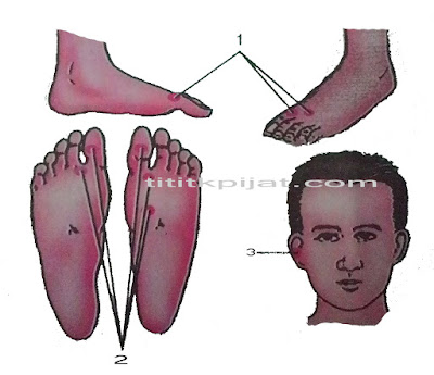 Titik Pijat Refleksi untuk Sakit Mata | Titik Pijat