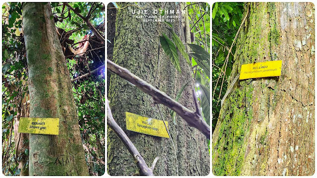 Flora, Fauna & Fungus di Bukit Juru