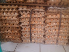 Agen Telur Ayam Ras di Tangerang