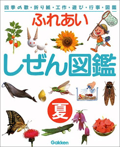 ふれあい しぜん図鑑〈夏〉 (四季の歌・折り紙・工作・遊び・行事・図鑑)