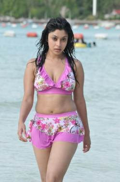 Payal Ghosh Hot Bikini Stills