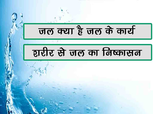 जल क्या है जल के  कार्य |शरीर के लिए जल प्राप्ति के साधन |शरीर के लिए जल का निष्कासन जल क्या है | Water Work Uses in Hindi