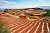 The Red Earth Terraces of Dongchuan, China