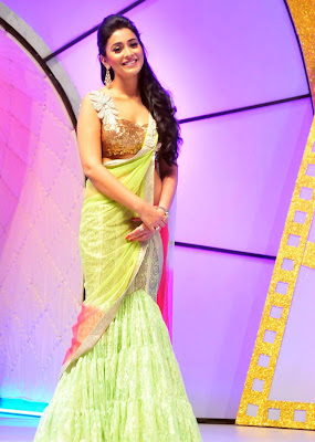 Shreya Sharan wearing Light green saree @ South Scope Cine Awards Pictures