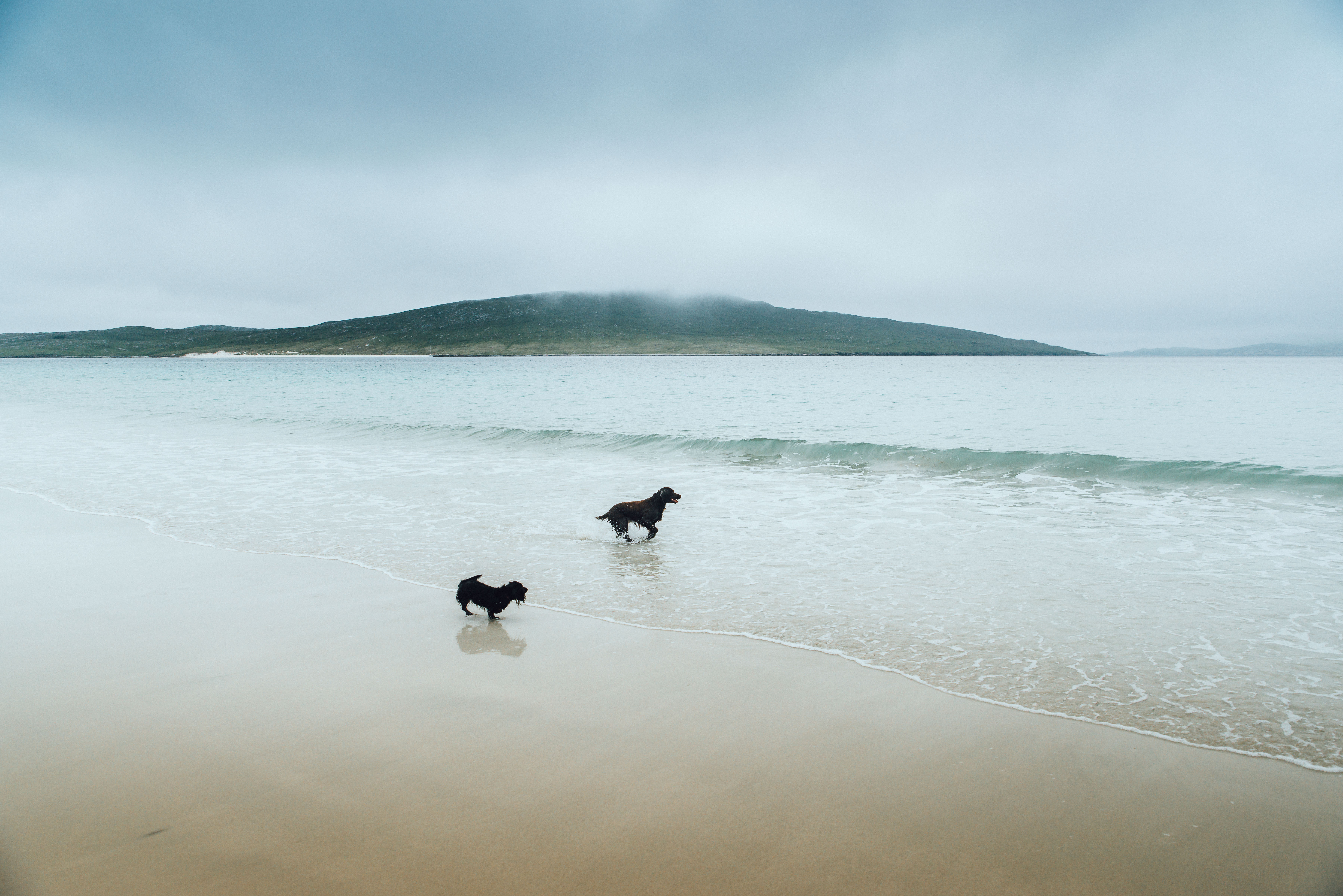 Luskentyre Beach Dog Walk, Isle of Harris liquid grain