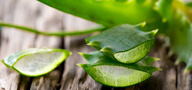 Aloe Vera Para El Dolor del Tunel Carpiano