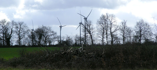 Photographed by Susan from Loire Valley Time Travel. https://tourtheloire.com