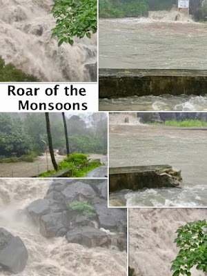 "Roar of the monsoons Mt Abu. 2022, a collage"