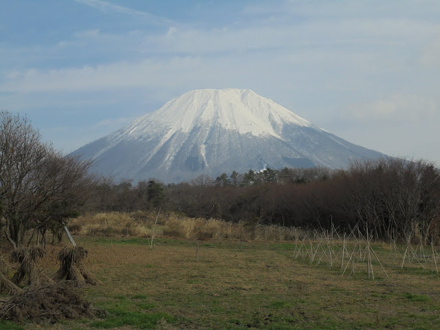 アイノピア入り口からの大山の眺望