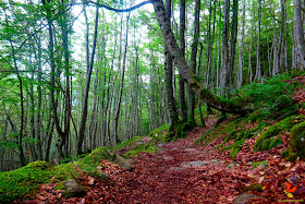 Ascensió a la Pica d'Estats per Pinet