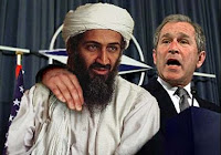 bush bin laden terrorista