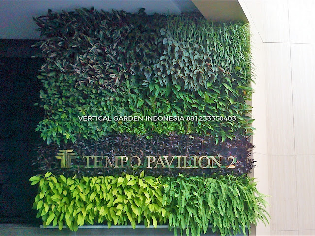 VERTICAL GARDEN INDONESIA SPESIALIS JASA PEMBUATAN VERTICAL GARDEN DI SERPONG DAN DI SELURUH WILAYAH SERPONG DENGAN TENAGA YANG PROFESIONAL DAN DAPAT DI PERCAYA YANG SELALU MENGUTAMAKAN SEBUAH MUTU DAN KUALITAS PEMASANGAN VERTICAL GARDEN/TAMAN DINDING, JASA TUKANG TAMAN VERTICAL SERPONG, JASA VERTICAL GARDEN SERPONG