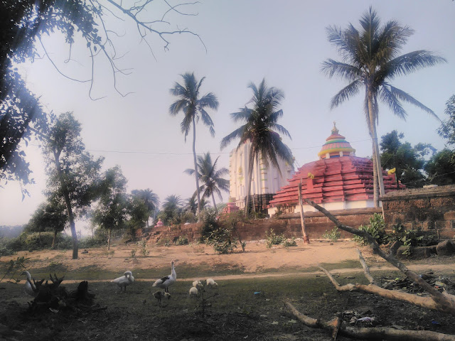 Sobhaneswar Mahadev temple is a 12th-century heritage site at Niali