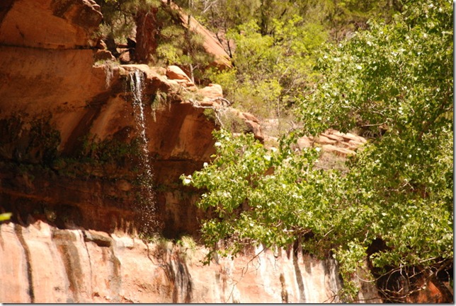05-03-13 B Trail Emerald Pools Kayenta 038