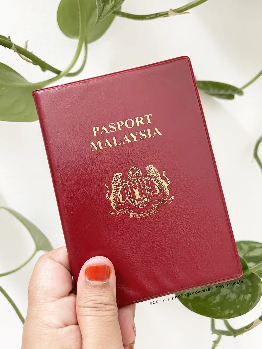 permohonan passport online