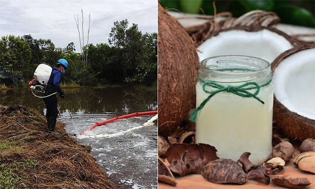 ingeniero-colombiano-crea-surfactante-natural-limpia-derrames-petroleo