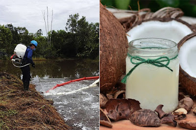 Ingeniero colombiano crea surfactante natural que limpia los derrames de petróleo