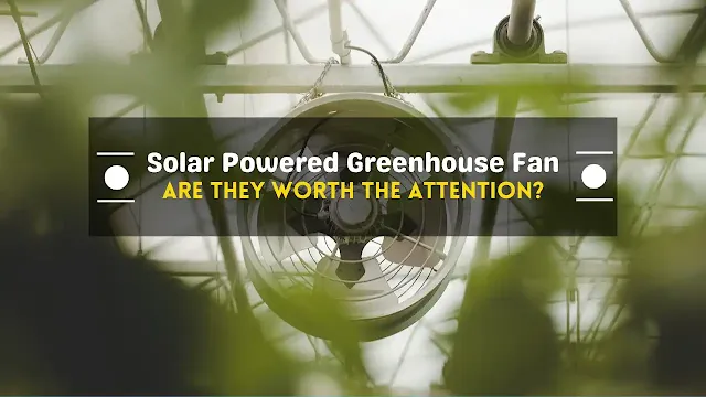 Solar powered greenhouse fan - Are they worth the attention