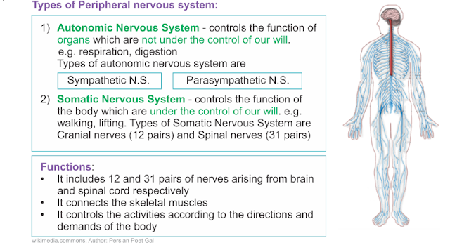 NCERT & SEBA SCIENCE CLASS X SOLUTION