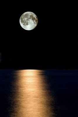 Beautiful Moon Pictures