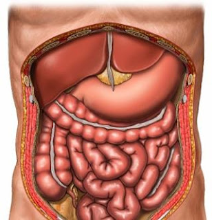 اعراض التهاب القولون Symptoms of colitis