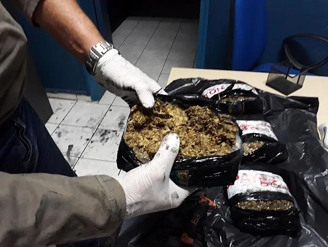 52 κιλά μαριχουάνας κατασχέθηκαν σε πλοίο στον Πειραιά (βίντεο)
