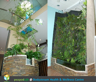 PeapodLife @ Bodystream Health & Wellness Centre in Barrie, Ontario, Photos 2013 