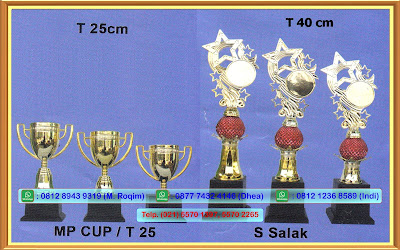 jual piala samarinda,harga piala samarinda ,jual piala di samarinda,harga piala satu set,harga piala samarinda,grosir trophy plastik,daftar harga piala,