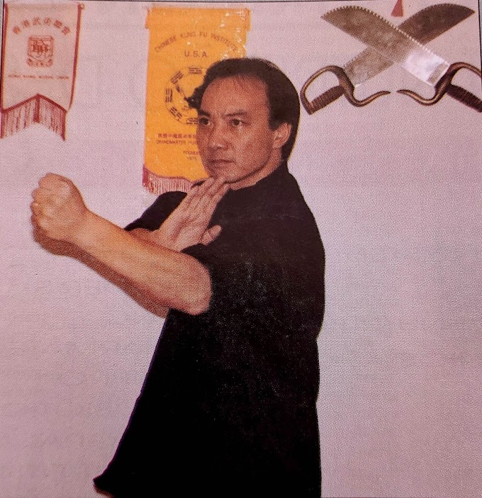 Série História do Wing Chun no Brasil - Entrevista com Sifu Li Hon Ki em 1995