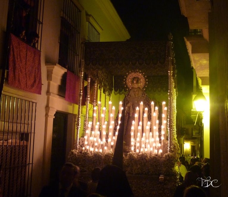 semana santa malaga 2010 nuestro padre jes�s de la sentencia. semana santa malaga 2010