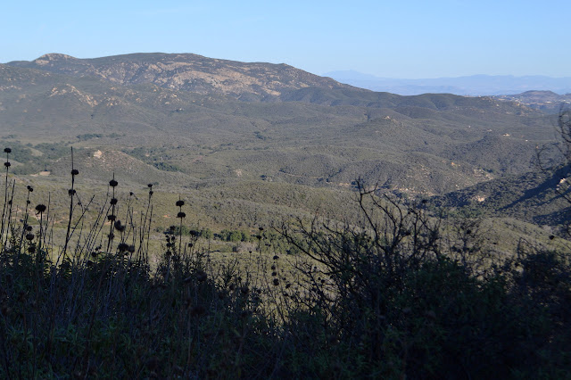 San Mateo Canyon with the old truck trail along it