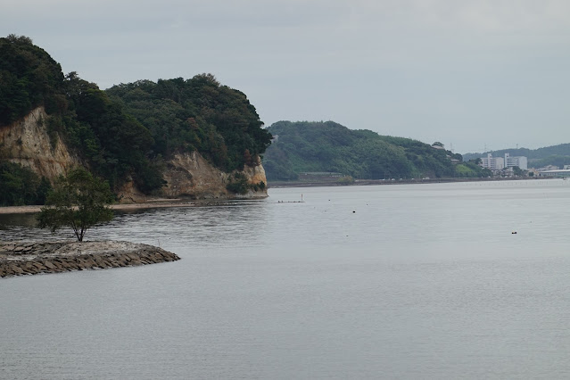 島根県松江市西浜佐陀町　宍道湖　冬の十六禿（ふゆのじゅうろくはげ）