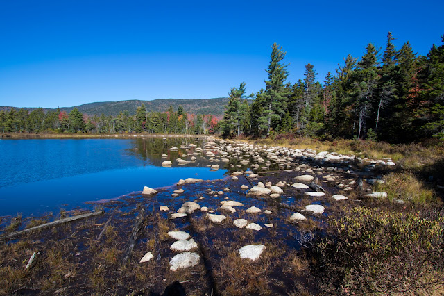 Foliage at Kancamagus Hwy e White mountains