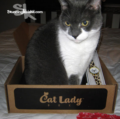 Wednesday Word—CatLadyBox