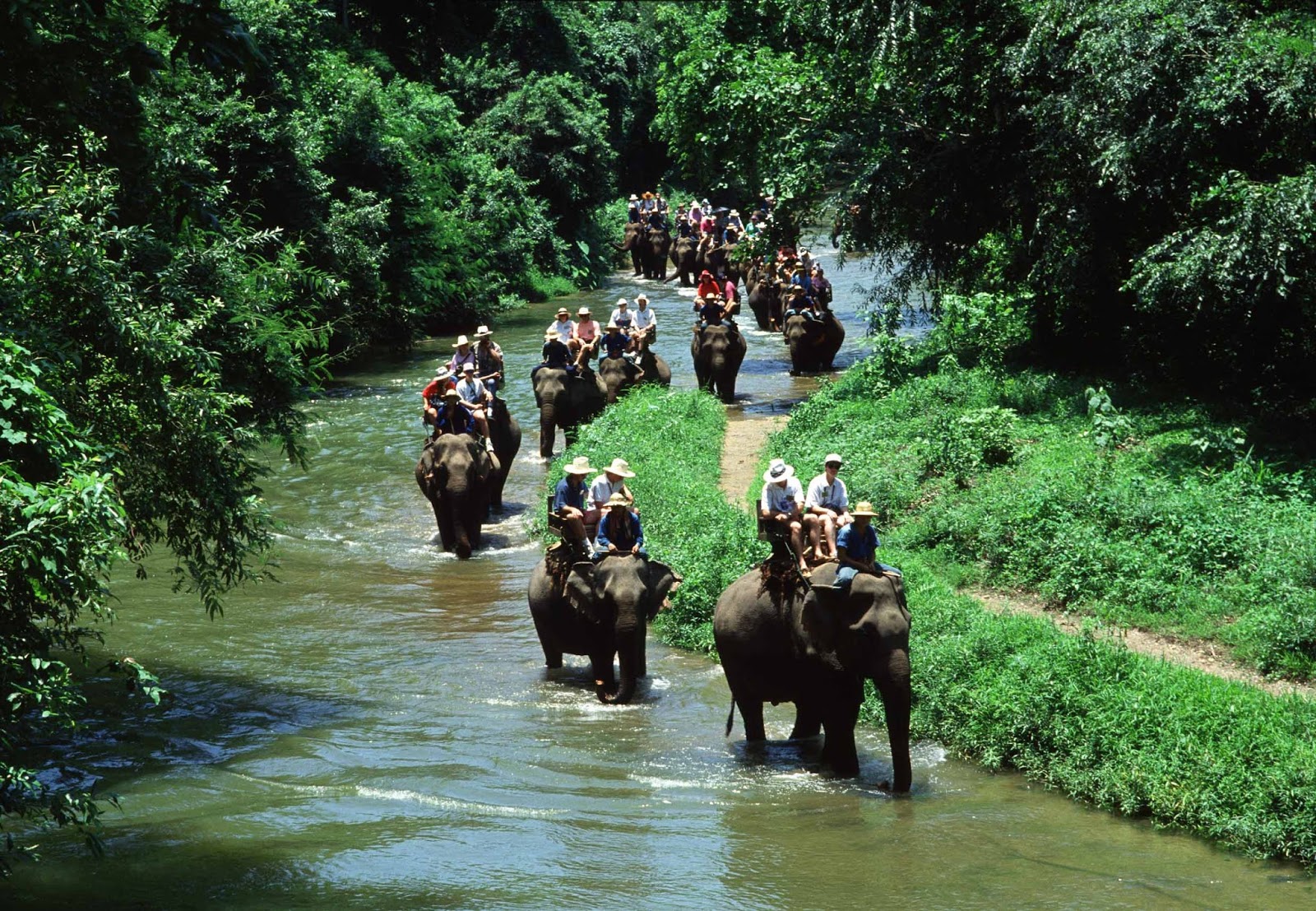 ELEPHANT RIDE and UBUD TOUR