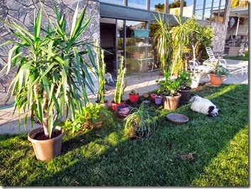 DSCN1065