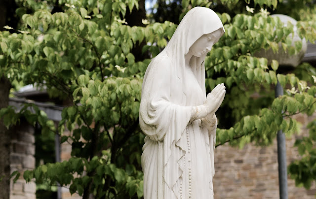 Conheça e saiba como rezar a novena milagrosa Maria passa na frente