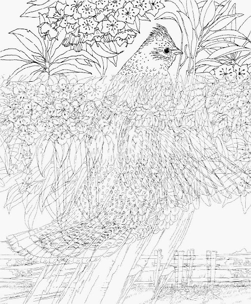 Coloring Pages Of Hearts For