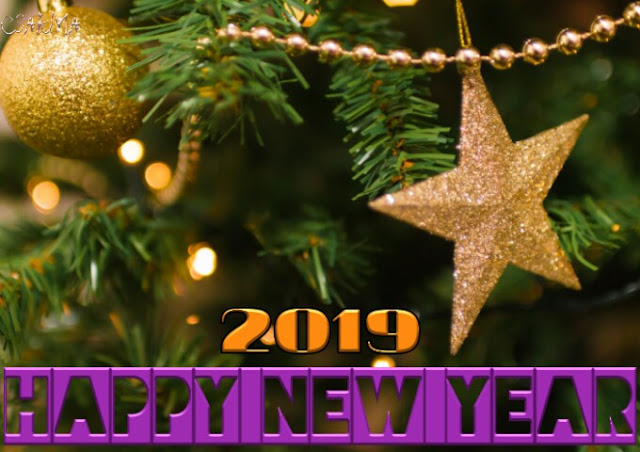 New Year Celebration 2019