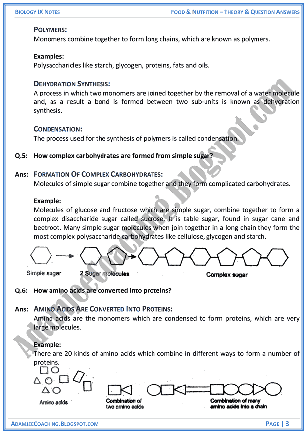 food-and-nutrition-theory-notes-and-question-answers-biology-notes-for-class-9th