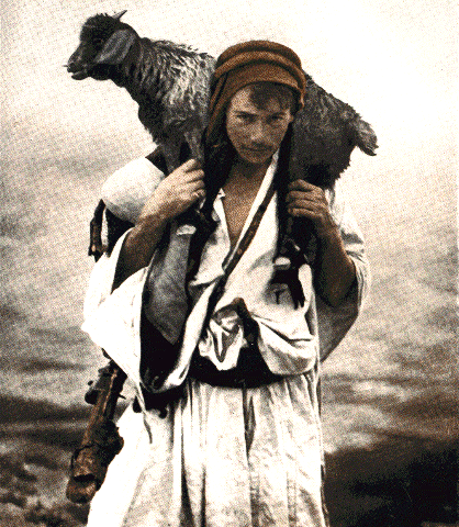 shepherd and sheep. Shepherd Carrying Sheep