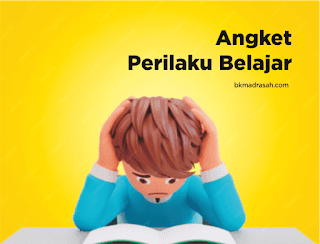 Contoh Format Angket Perilaku Belajar Siswa