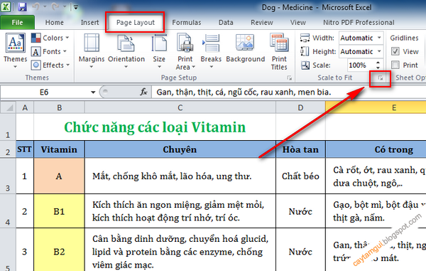 Hướng dẫn cố định dòng, cột trong Excel